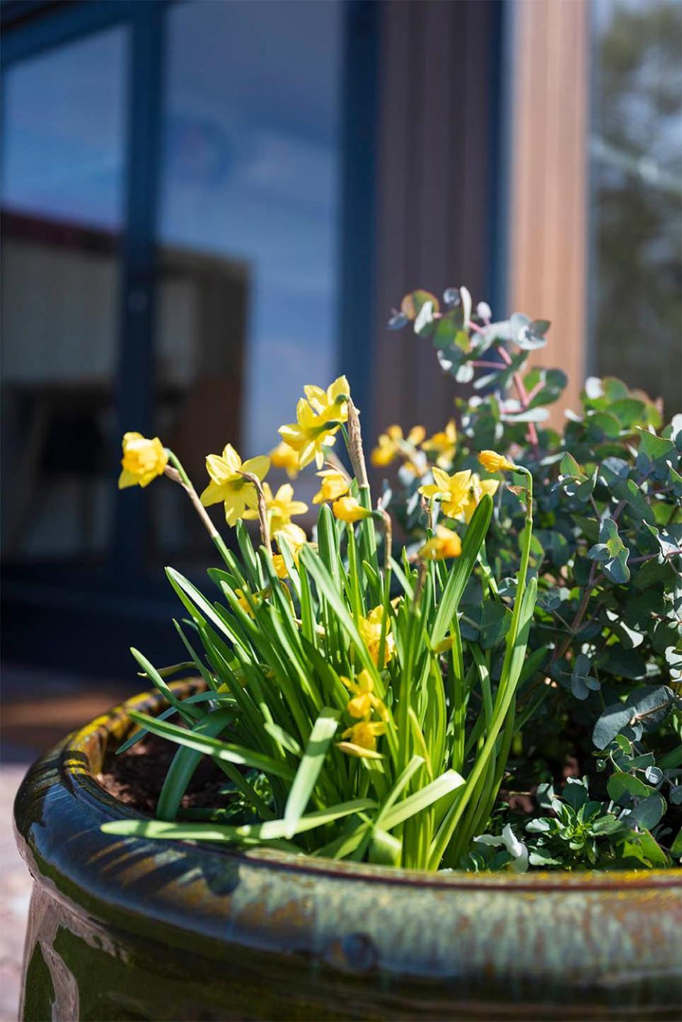 Bed and Breakfast Bloem & Bed 't Zand Esterno foto