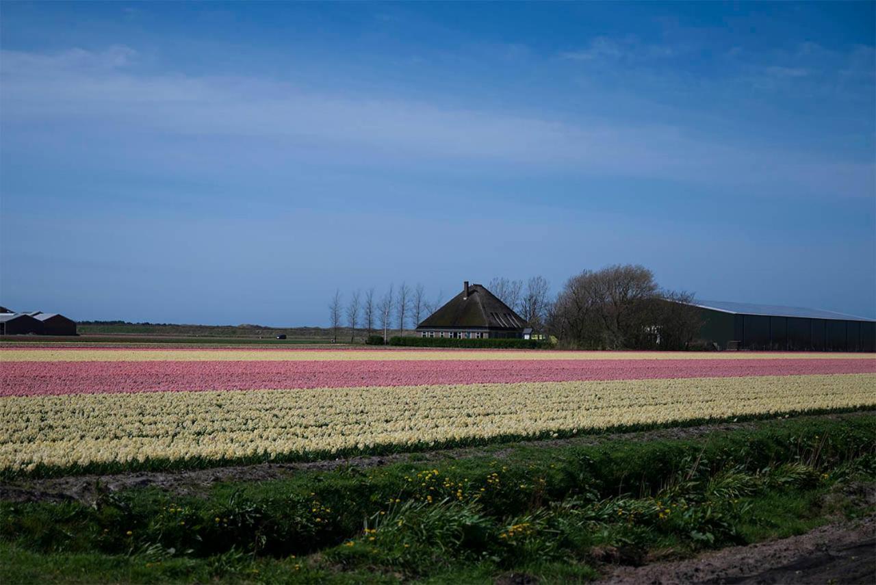 Bed and Breakfast Bloem & Bed 't Zand Esterno foto