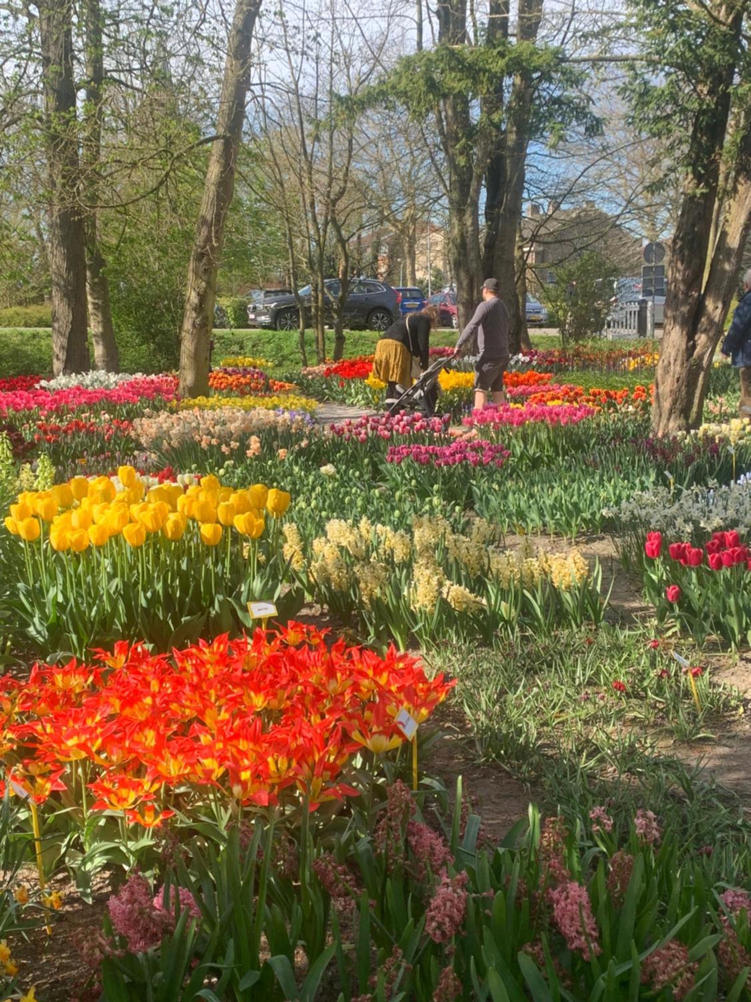 Bed and Breakfast Bloem & Bed 't Zand Esterno foto